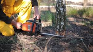 Best Lawn Renovation and Restoration  in Prosser, WA
