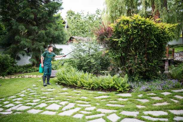 Best Storm Damage Tree Cleanup  in Prosser, WA