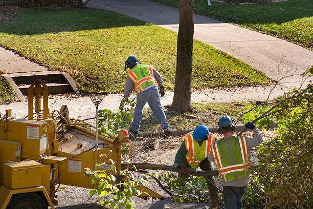 Best Tree Maintenance Programs  in Prosser, WA